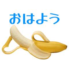 stitco_20260701110240