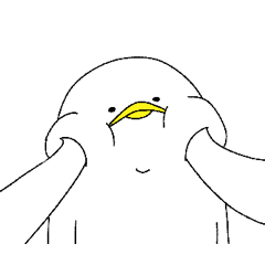 POTEDUCK
