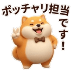 Chubby Shiba Inu Chubby