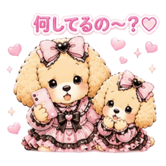 My clingy girlfriend Poodles