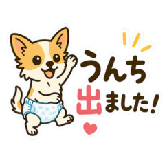 Chihuahua Daily Report Stickers