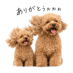 Poodles swaying in the wind