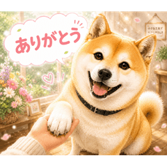 ひだまりちゃんとコロのやさしい日常会話