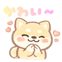 Life with a Mameshiba
