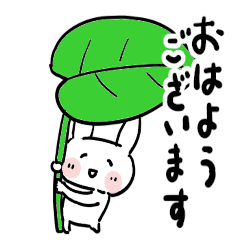 Chibita(summer 26