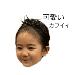 hikari_202607011127250
