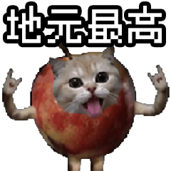 Cat meme [apple cat] 004