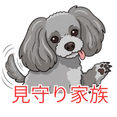 Family Care Messages Toy Poodle Shibuki