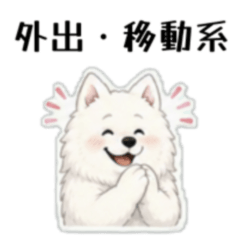 Samoyed at Work & Daily Life