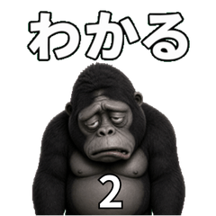 Gen Gori 2: Care & Empathy