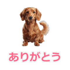 Miniature Dachshund (Red) Daily Stickers