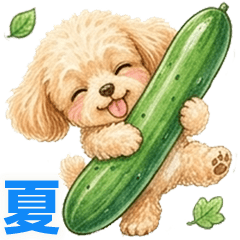 Everyday Summer Toy Poodle Stickers