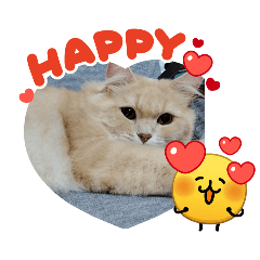 neko_20260629183016
