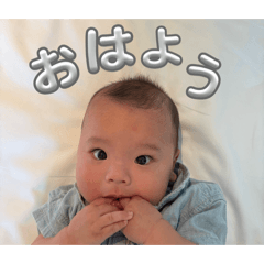 saya_20260629194807