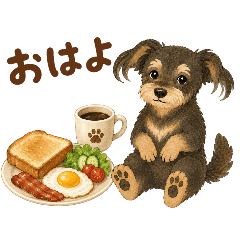 cats and dogs_20260629195331