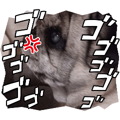 hana_20260629200110