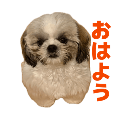 roku_20260629200527