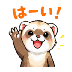 Matsumatsuya_20260629211156
