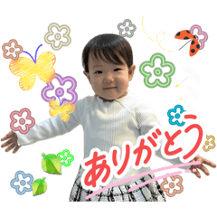 hide_20260629212456
