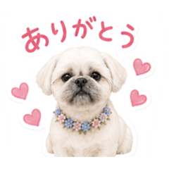 Mona_20260629214142