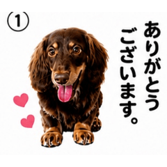 Kazumi_20260629215335