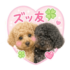 momo_20260629215915