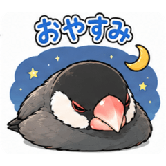 BUN_20260629220321