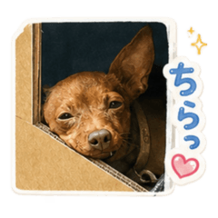 nanami_20260629221506