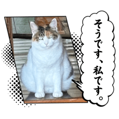 kana_20260629222850