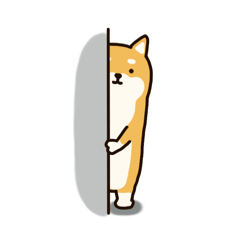 柴ケンさんの日常