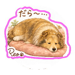Reo_20260701082806