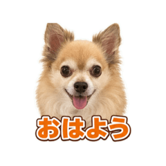 keiko_20260701084830