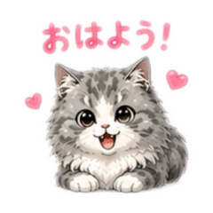 YOHKO-CHAN_20260701080940