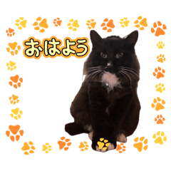 Mako_20260630200658