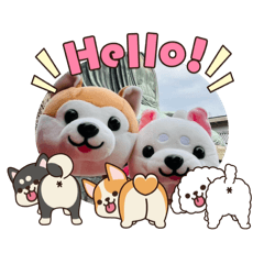 kawaii chans