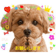ruru_20260701090559