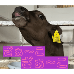 nanami_20260701093319