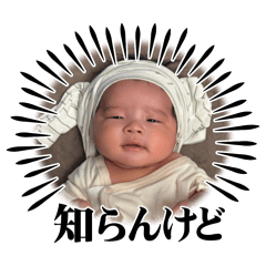 TERU0511_20260701094654