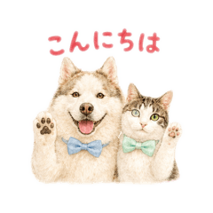 sirobe&haku