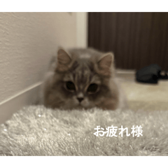 yoshki_20260701094636
