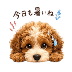 natsumi_20260701095603