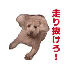 yuri_20260701102857