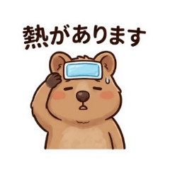 kinako_20260701101050