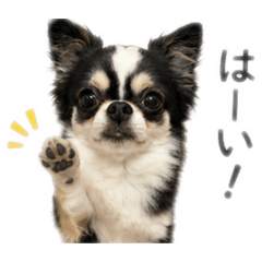 kt-z_20260701104