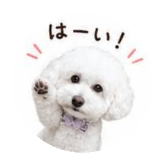 kei_20260701111346