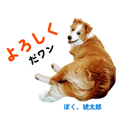KOTARO_20260701112729