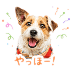 Ryu_20260701110429