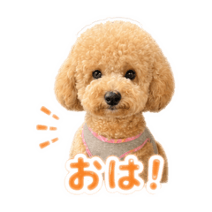 chika_20260701113117