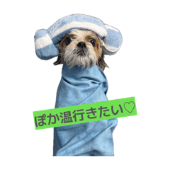 hakusaku_20260701113517