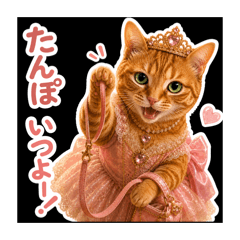 sien_20260701114810